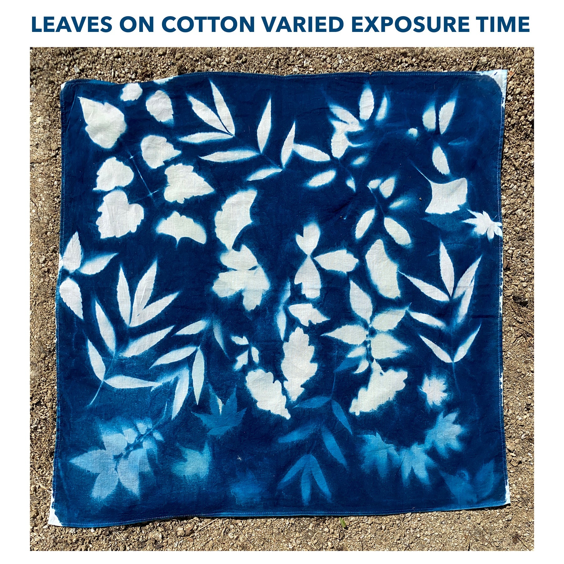 Cyanotype Bandana DIY Kit